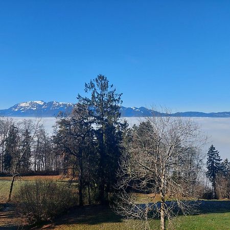 Gemuetliche Wohnung Mit Talblick Batschuns Exterior foto