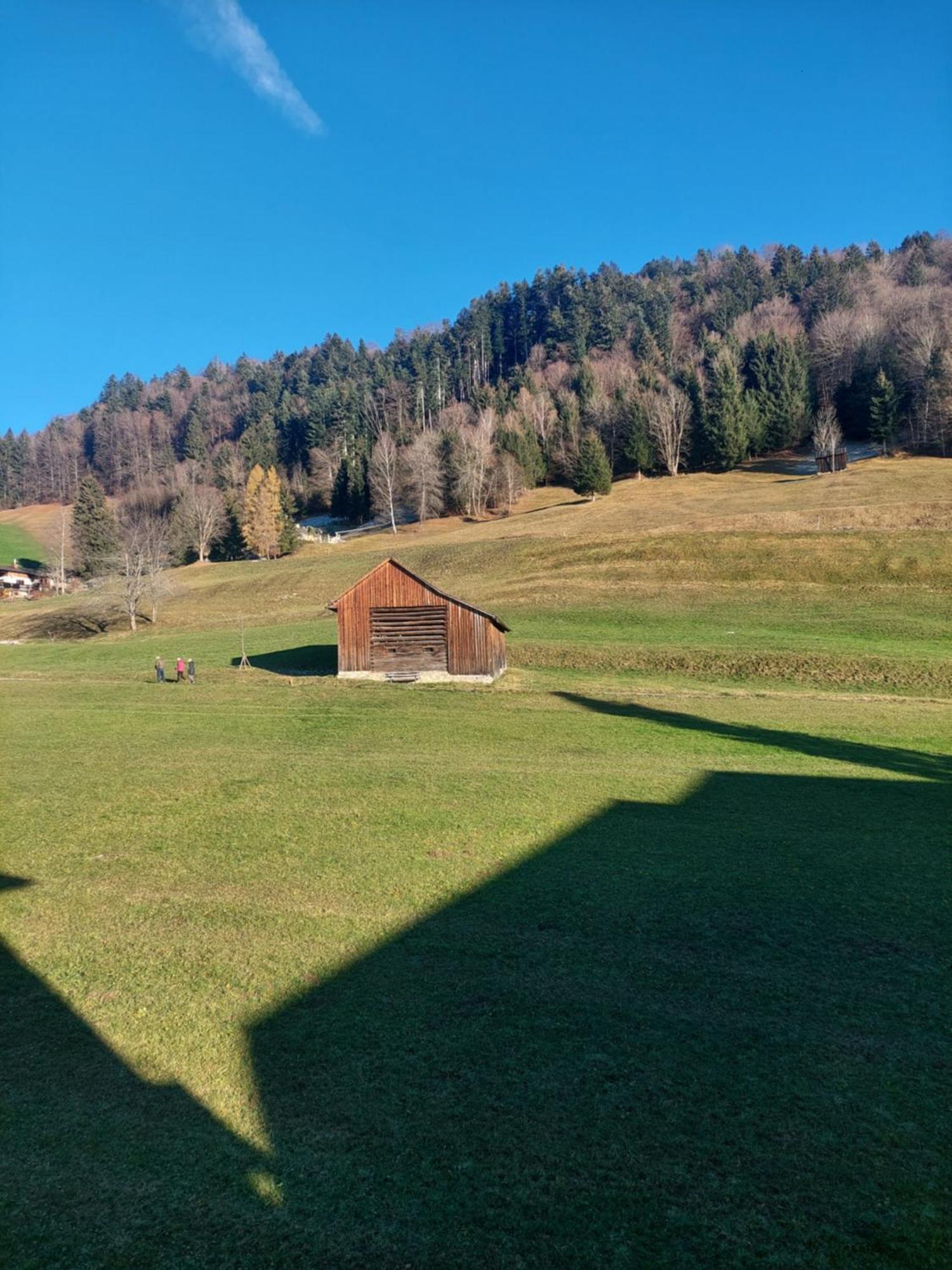 Gemuetliche Wohnung Mit Talblick Batschuns Exterior foto